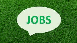 JOBS_448