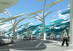 solar-forest