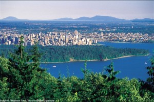 vancouver-city-view-forest_2386
