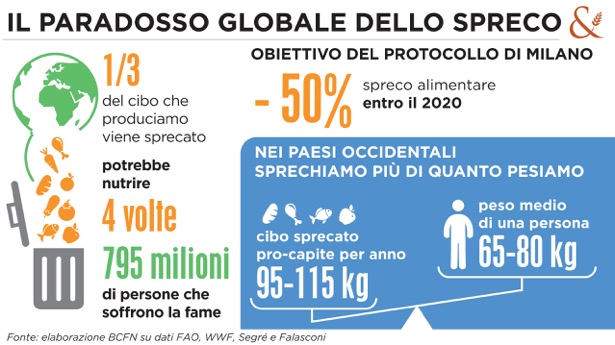 Spreco alimentare: perso un terzo del cibo che produciamo in tutto il mondo